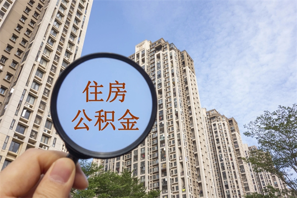 石家庄住房公积金提取（石家庄住房公积金提取地址）